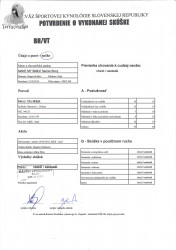 BH/VT